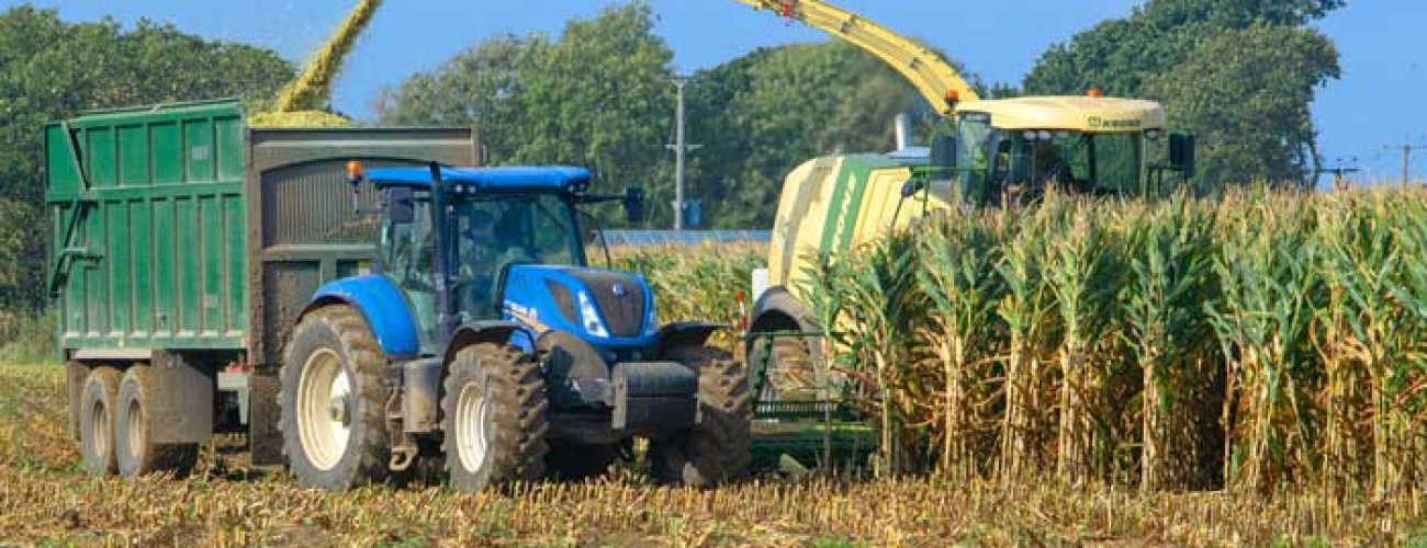 Tractor working in fields