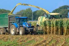 Tractor working in fields